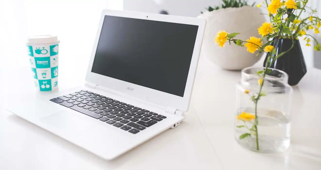 Ремонт ноутбуков Acer в Балахне